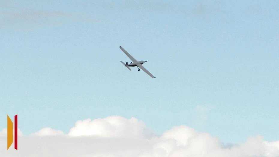    Автор фото: из архива РИА «Воронеж»