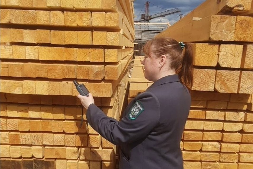    Фото: Управление Россельхознадзора по Красноярскому краю