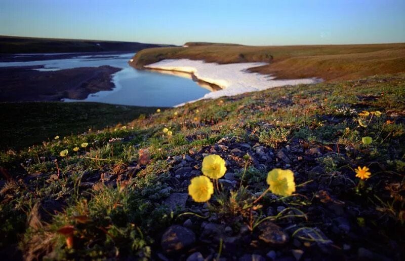 В России есть масса замечательных заповедников, которые ежегодно посещают тысячи туристов.  Источник фото - https://golnk.ru/Owe4R