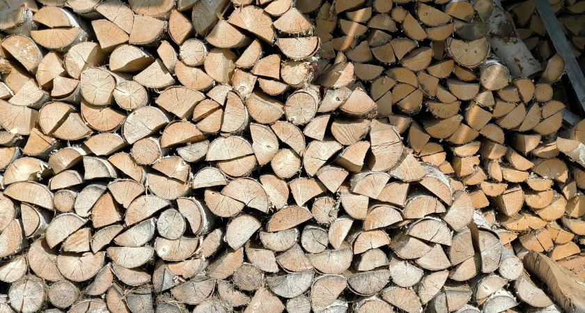    Фото из архива редакции