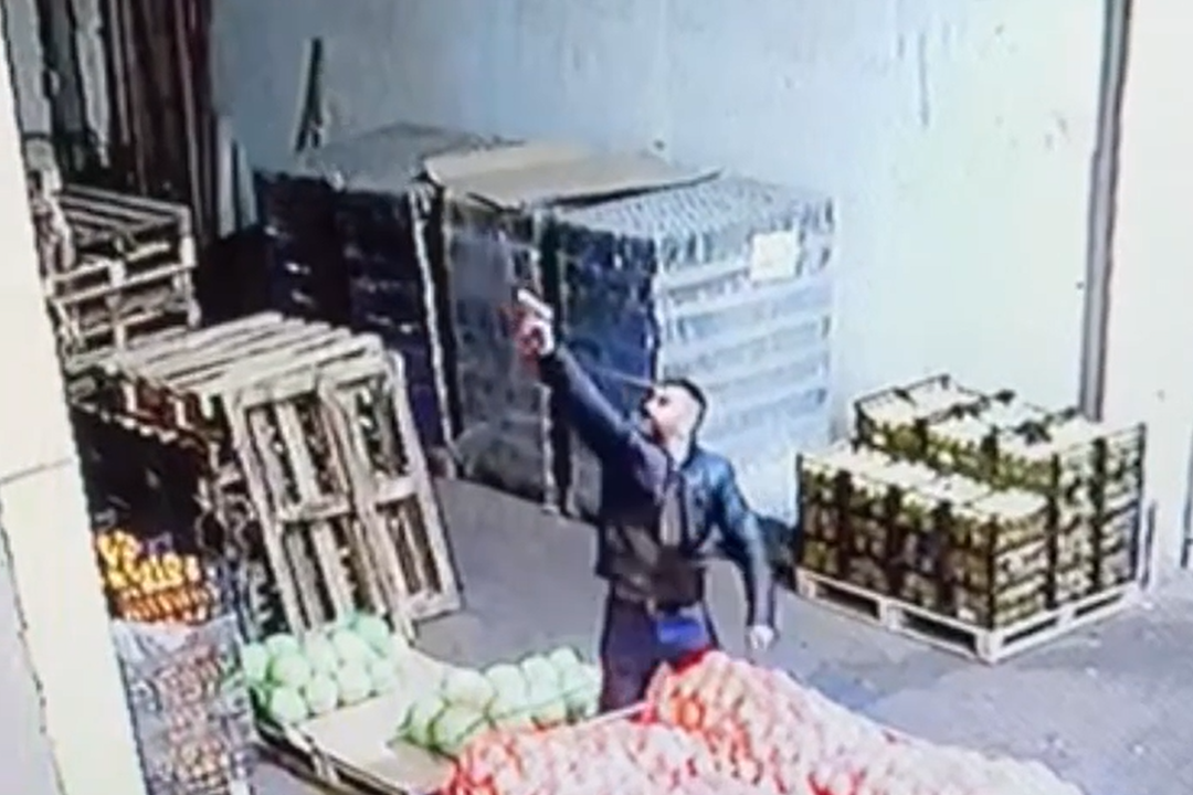 скриншот видео с камер