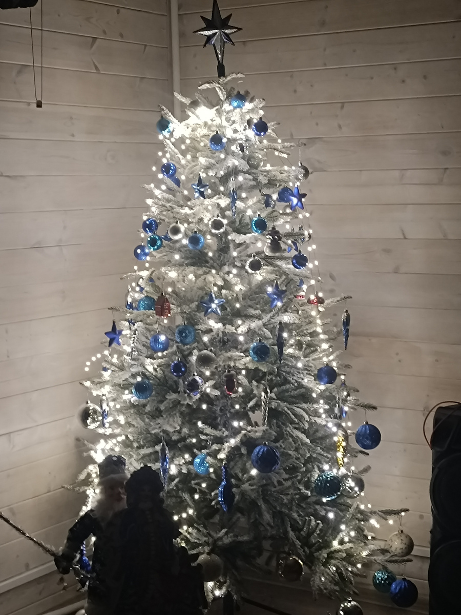 Наша ёлочка 