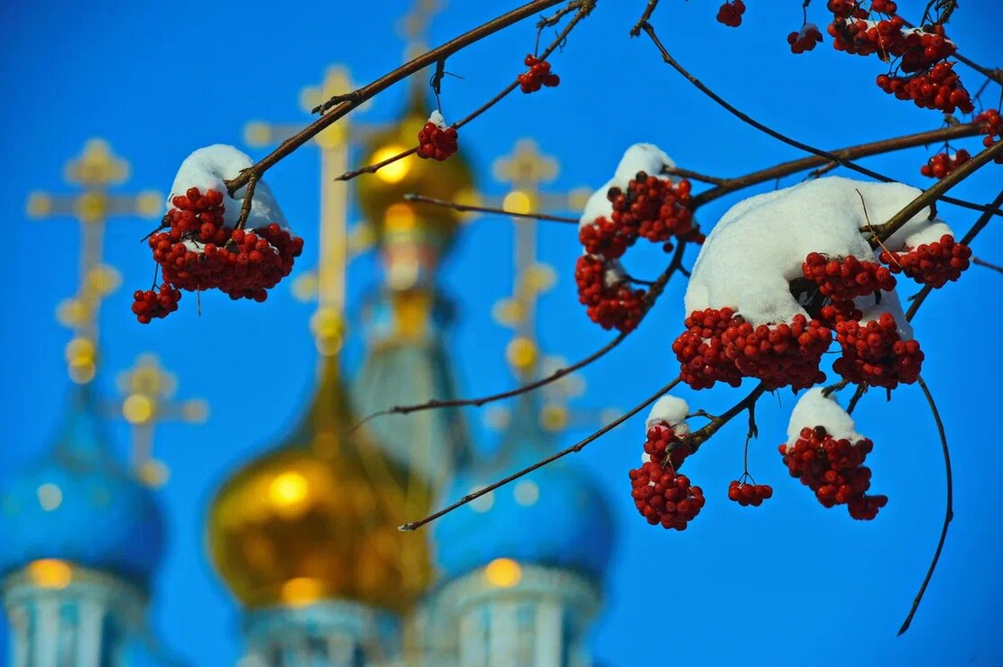    Фото: Олег Руковицын