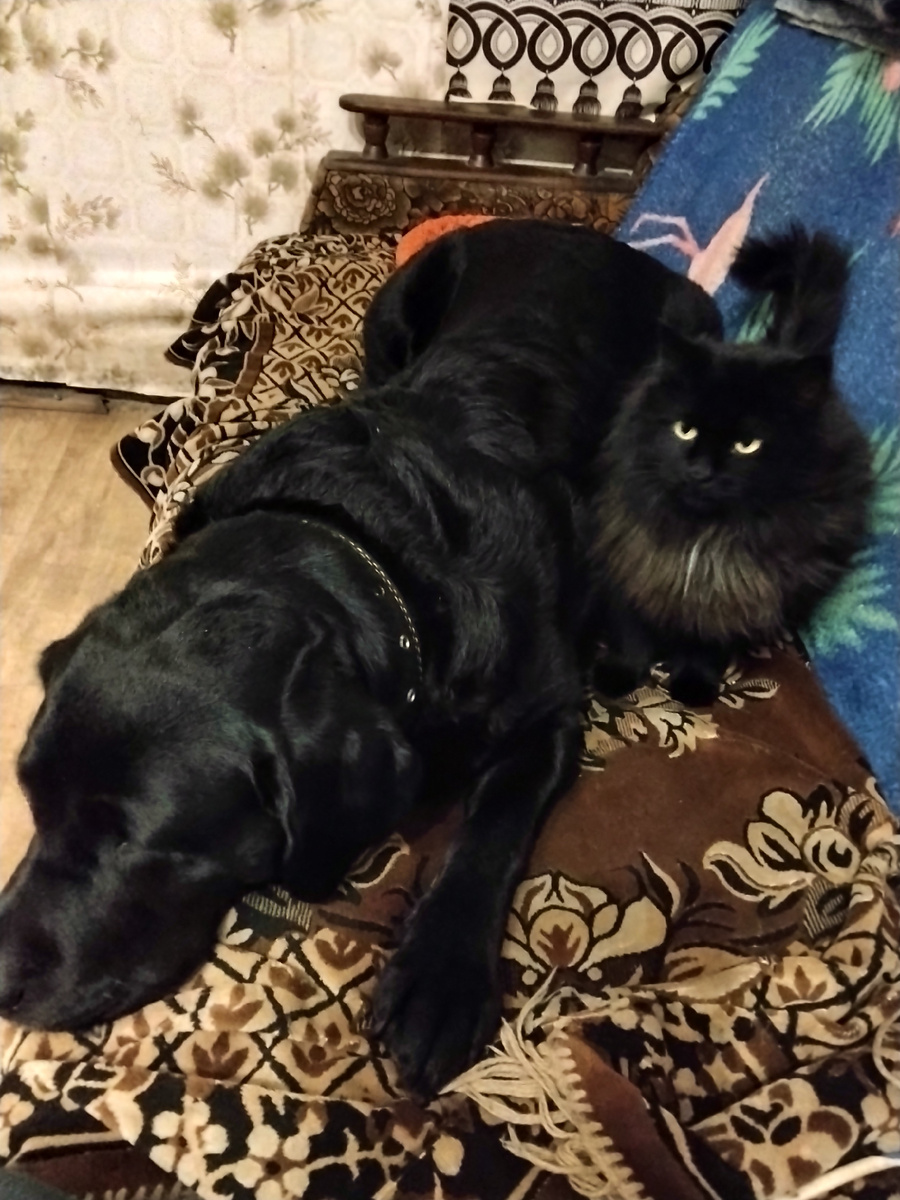 Фото автора.