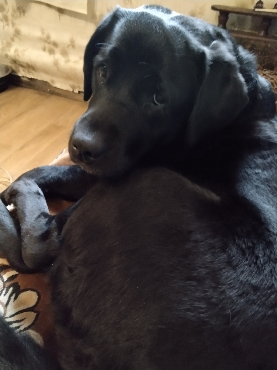 Фото автора.