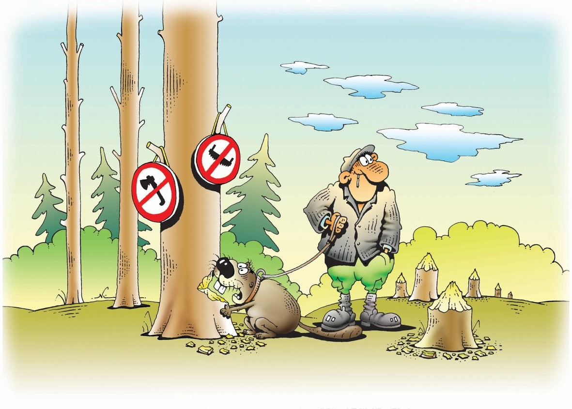 Игорь Кийко