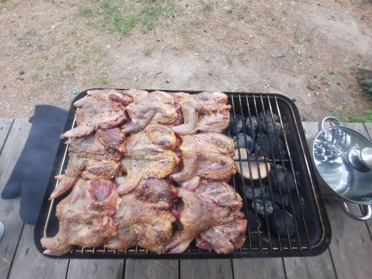 Гриль Weber Go-Anywhere в деле.