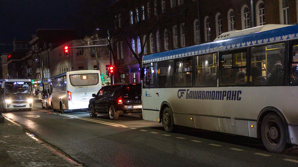 Фото: Идэль Гумеров, Коммерсантъ