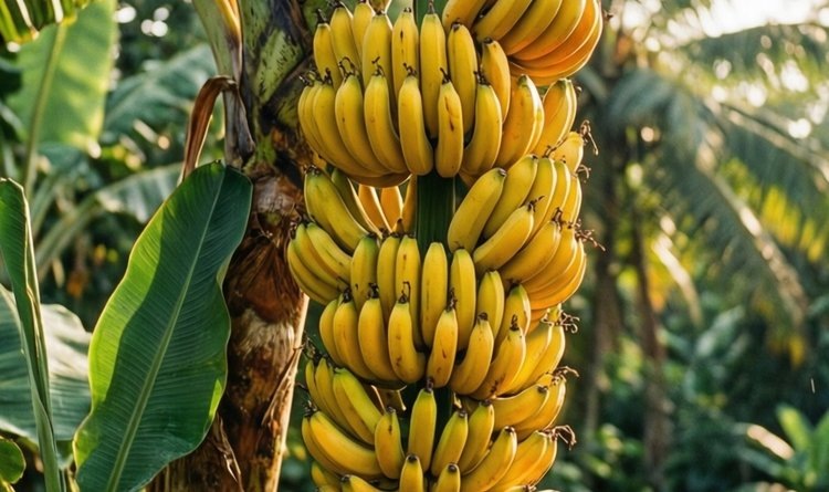    Фото: Медведева Анна, AgroXXI.ru