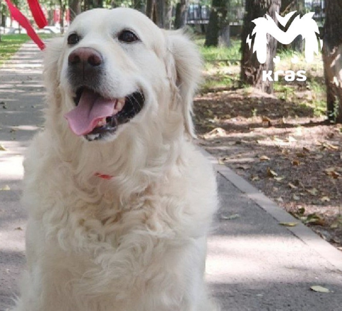 Фото: тг-канал Kras Mash 