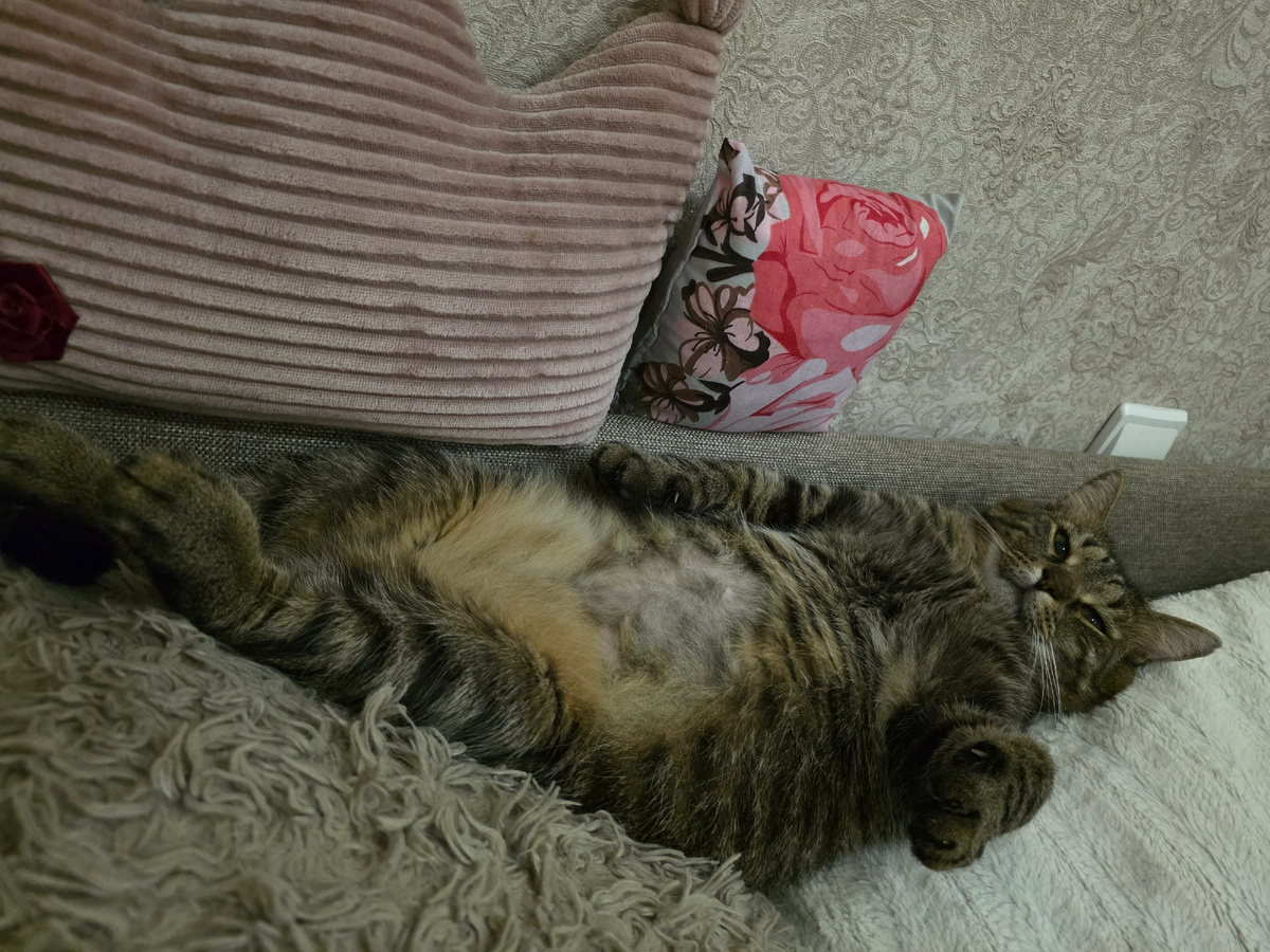 Как-то так примерно и я лежу после работы 