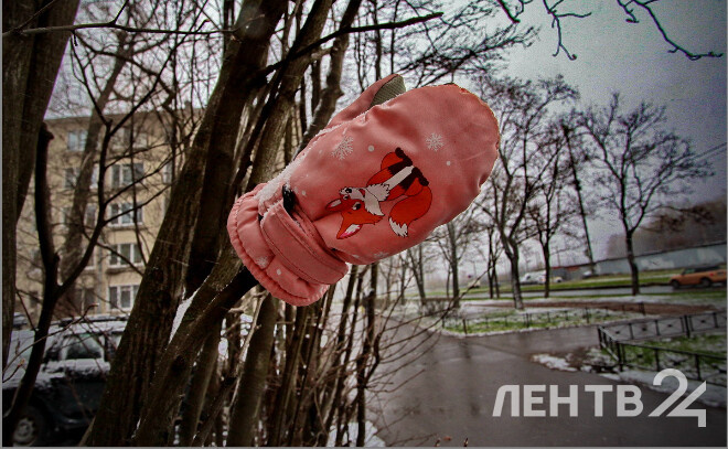    © Анастасия Илюшина / ЛенТВ24, архивное фото