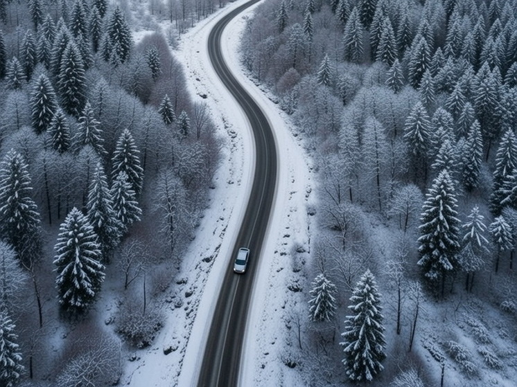     Фото: генерация Grok