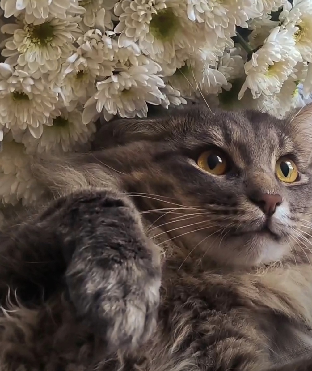 Фотографии в статье авторские