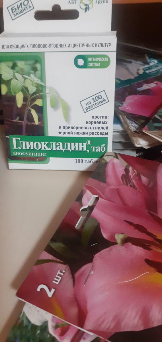 БИОФУНГИЦИД НАДО ПОЛОЖИТЬ В ЗЕМЛЮ, ЗАГЛУБИВ НА  1-2 СМ