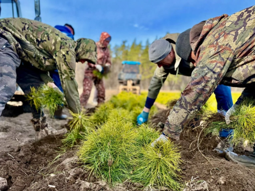    Фото из МАХ-канала Вячеслава Федорищева