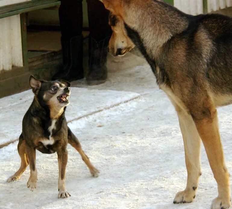    Фото: abn.agency