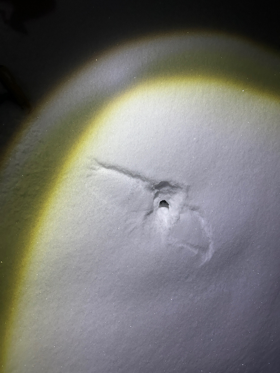 Картина созданная природой 