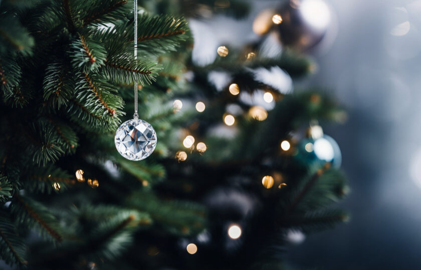 Врач Дементьев заявил, что неубранная новогодняя елка может быть опасной