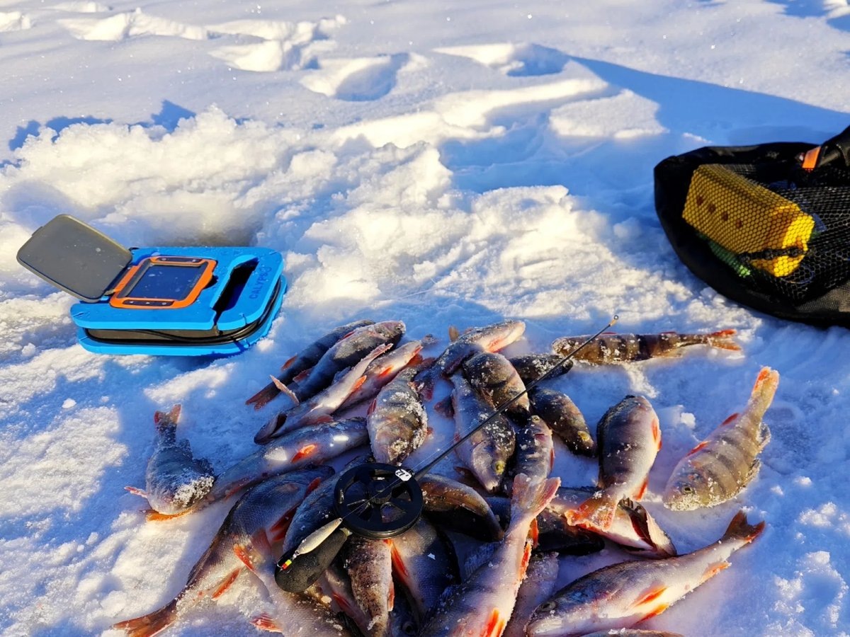    В овремя рыбалки он пользовался эхолотом