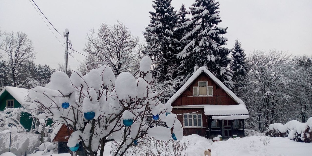 Сидим в снегах, живём зиму.