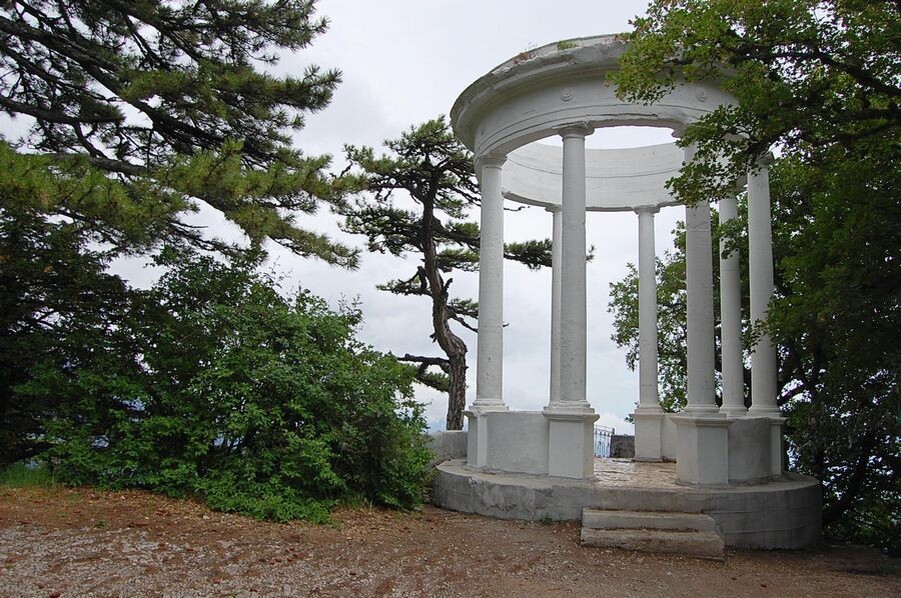 фото с яндекс