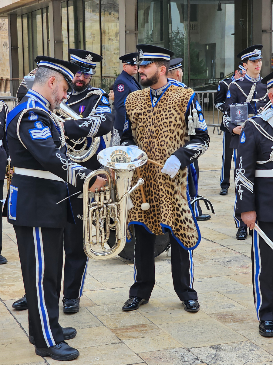 Вот он, красавец