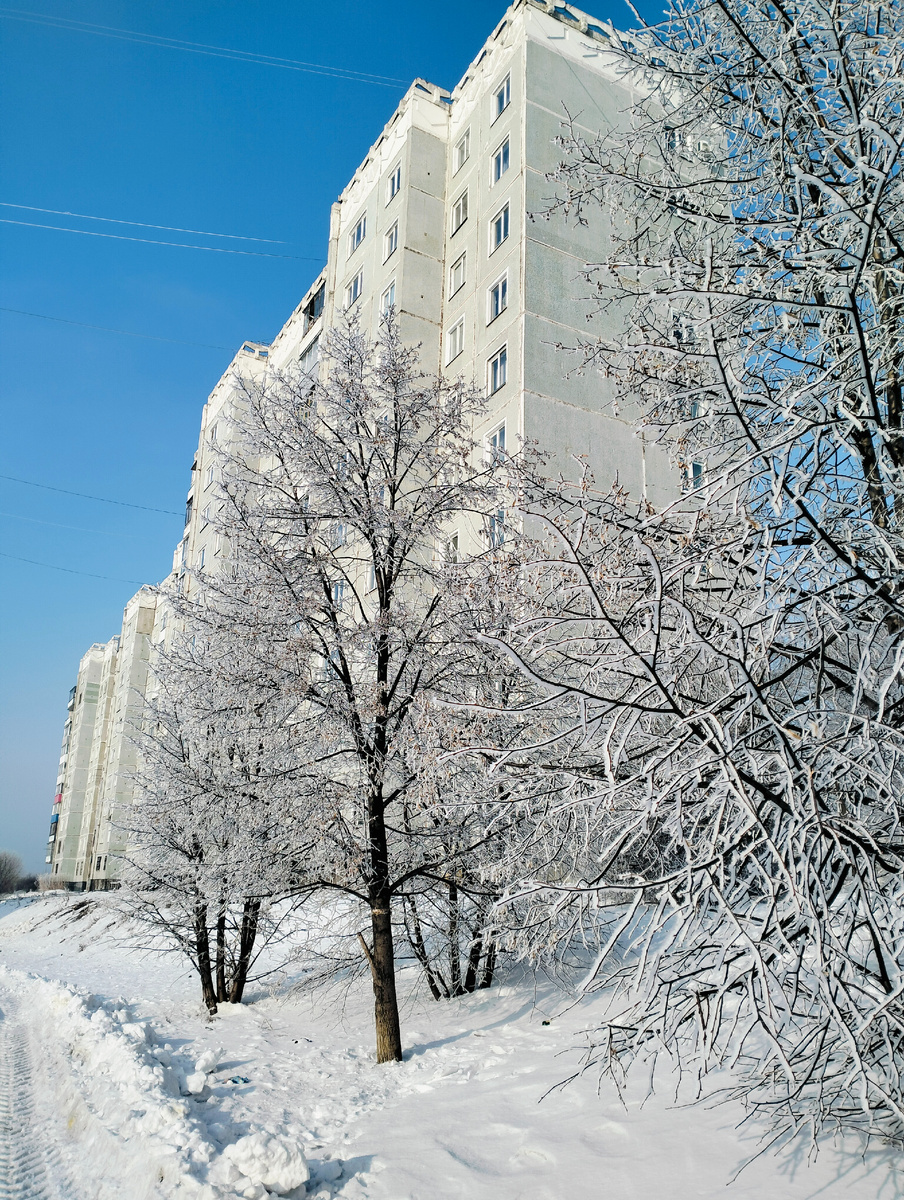 Мороз и солнце. На фото мой двор