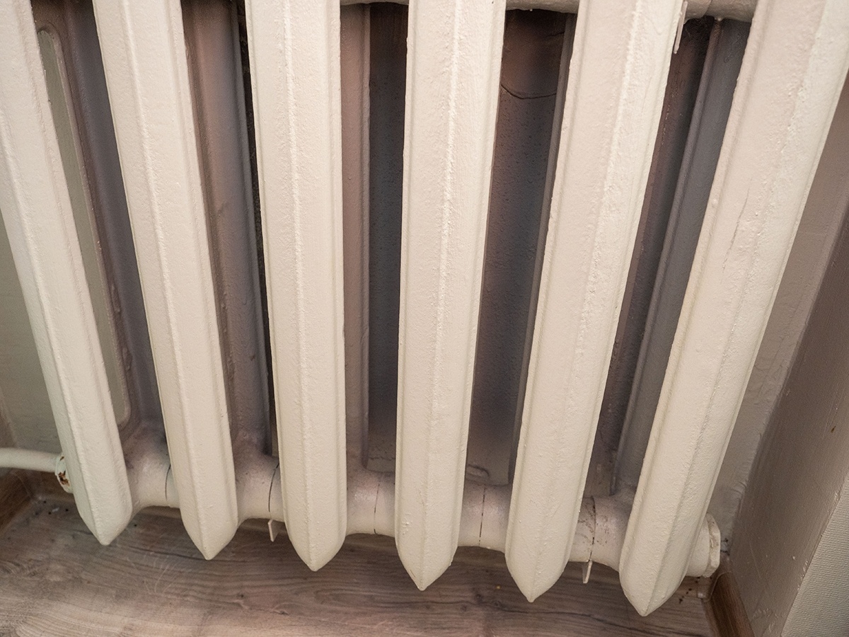    фото: © Игорь Подгорный