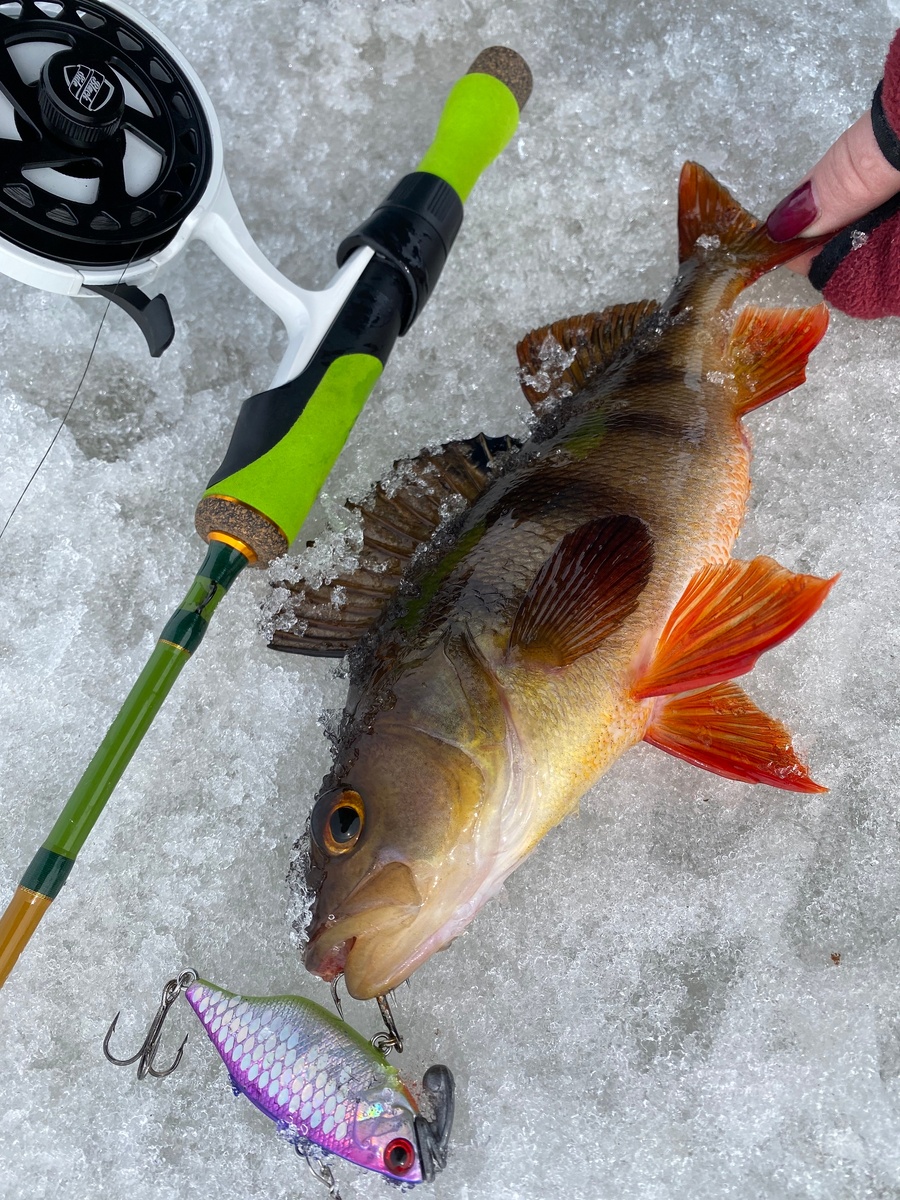 Инерционная зимняя катушка Black Side Ice Tiger  (фото: Диана Томашевская)