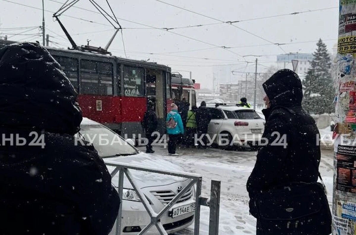    Фото «Кубань 24»