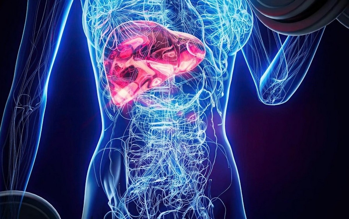    Проблемы с печенью все еще остаются сильной головной болью для медицины. Изображение: Медицинский центр «Медюнион