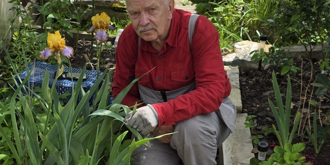 Цифровые книги: читать и/или слушать.