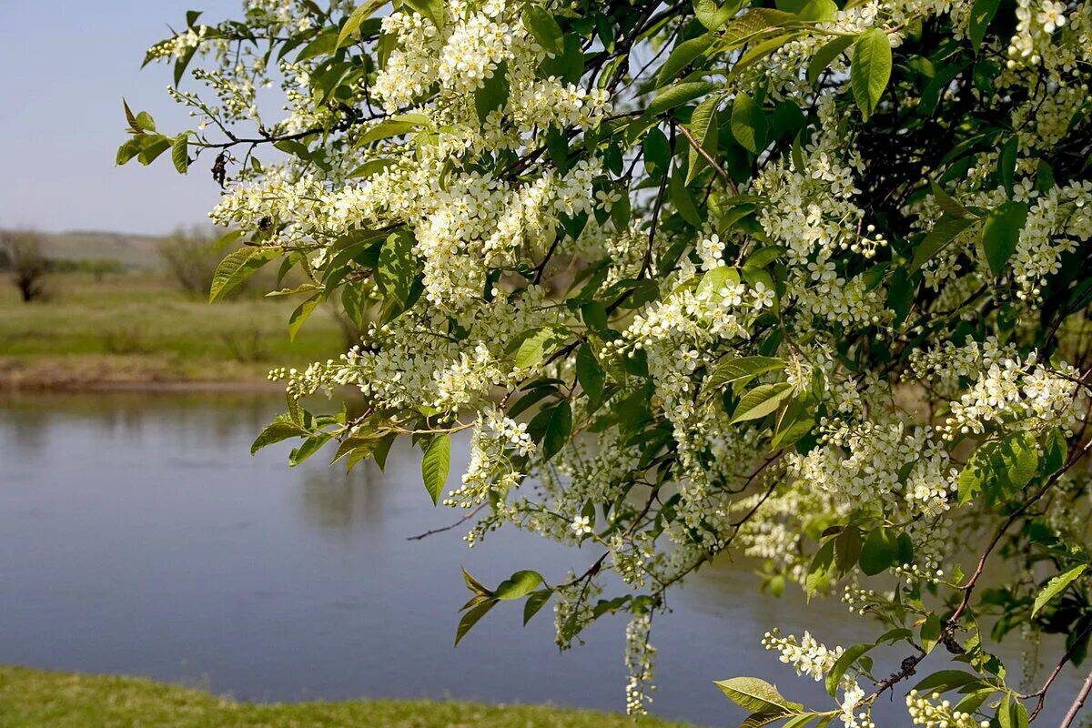 судьба ее не баловала