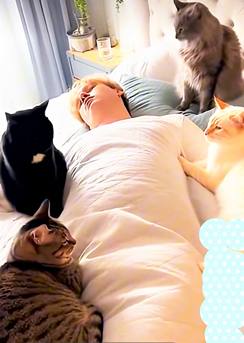 Картинкой поделилась Любовь БОЙЦОВА)