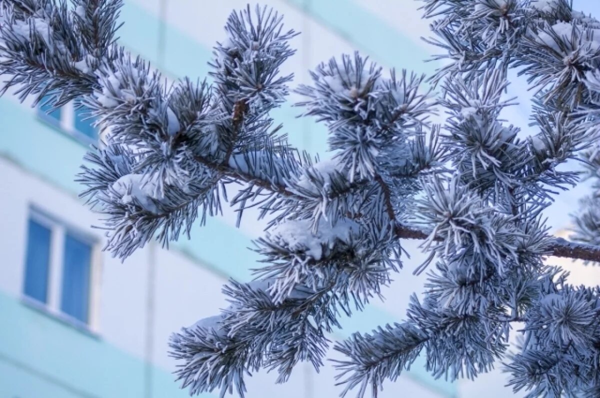   Мощные морозы в Новосибирске: МЧС предупреждает жителей