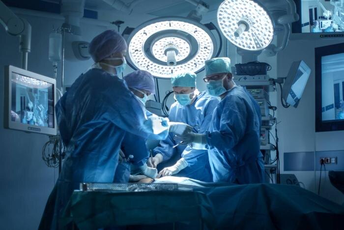 Обложка © Shutterstock / FOTODOM / Gorodenkoff