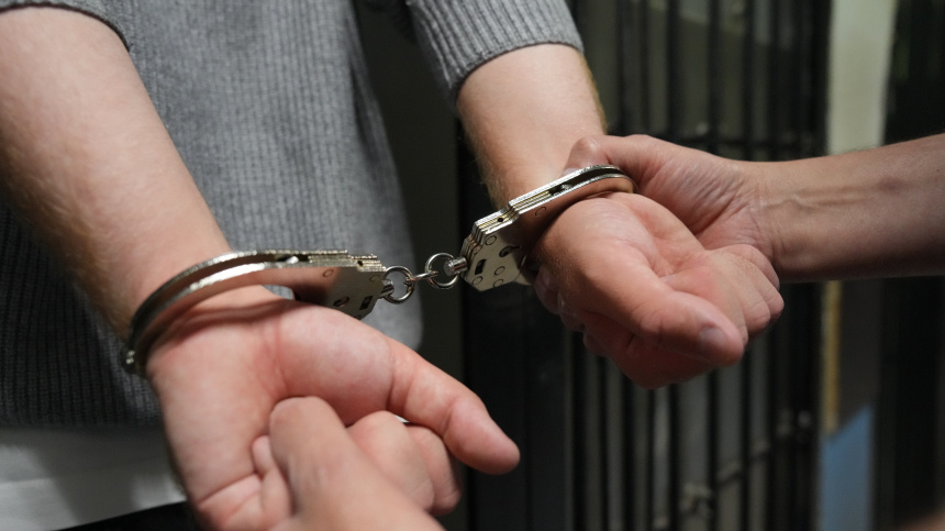    Фото: ИЗВЕСТИЯ/Дмитрий Коротаев; 5-tv.ru