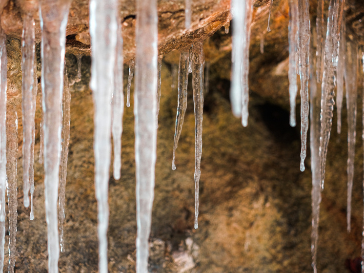     Источник: cristina_gottardi/FreePik