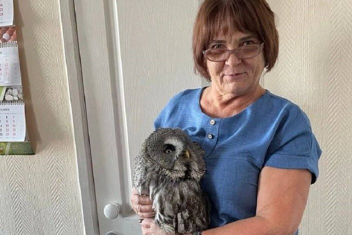    Врач с совой. Фото из телеграм-канала ассоциации ветеринарии Иркутской области