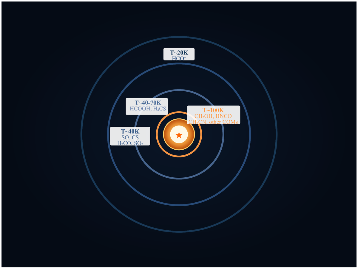 Схематичное изображение окружения горячего ядра (не в масштабе), которое показывает разделение на слои с разными температурами. В каждом из слоев возбуждаются определенные молекулы. Источник: Анастасия Фарафонтова