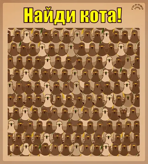 🐱 Где кот среди птиц? Найди за 10 секунд!