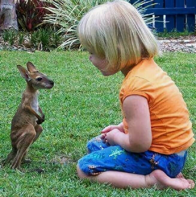 дети с домашними животными