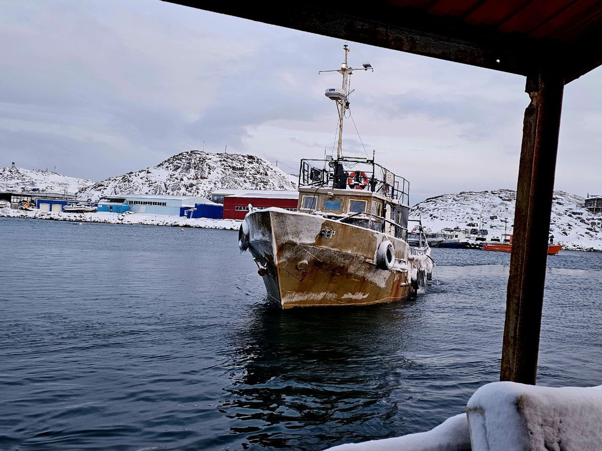 Просто для наглядности, наше было покрупнее
