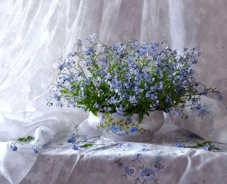 Картинка найдена на просторах интернета, ссылка https://yandex.ru/images/search?from=tabbar&img_url=https%3A%2Fi%2F.pinimg.com%2Foriginals%2Fa8%2F34%2Fа3f%2Fa83р43f81с28279b5e7bd53274cf0591a19.jpg&lr=47&pos=15&rpt=simage&text=%D1%86%D0%B2%D0%B5%D1%82%D1%8B%20%D0%BA%D1%80%D1%83%D0%BF%D0%BD%D0%BE%20%D1%84%D0%BE%D1%82%D0%BE