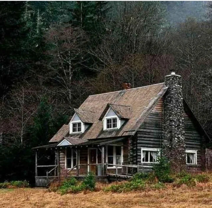 Картинка со свободного доступа в интернете