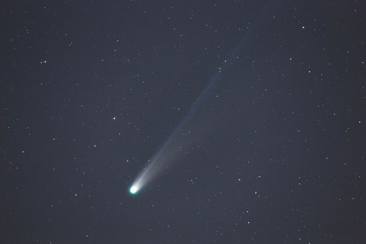     / Источник: © Global Look Press