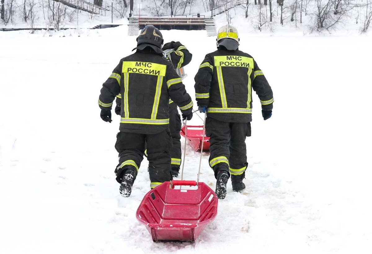     / Источник: © ИЗВЕСТИЯ/Дмитрий Коротаев