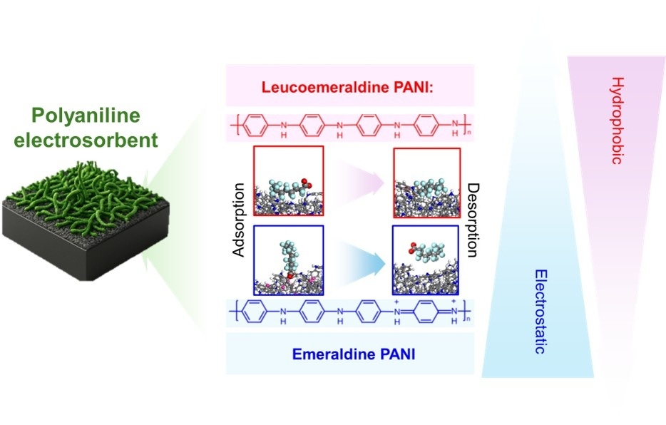 Механизм адсорбции/десорбции перфторированных органических соединений (PFAS) в зависимости от изменений электрического состояния проводящего полимера полианилина [Предоставлено UNIST]