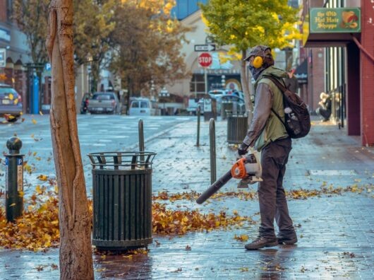    Дворник // Фото с сайта https://pxhere.com/